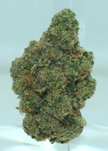 Blue Cheese (28g)