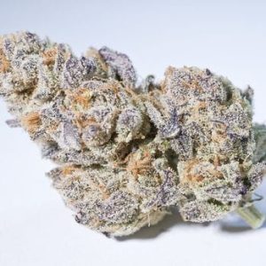 Gorilla glue