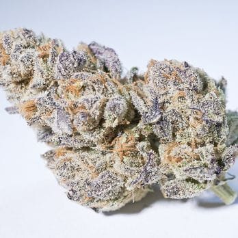 Gorilla glue